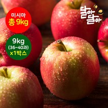 달아달아 못난이사과 미시마 9kg(36-40과) 1박스, 단품