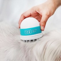 강아지더위 강아지여름 강아지쿨링 쿨링빗 댕쿨, 민트