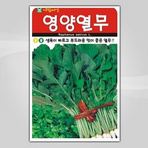 슬로시 슬로시 김장 채소 씨앗 무 배추 당근 씨 종자, 명랑알타리무20g(아람)