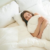 [모던하우스] ON) 가벼운 중량으로 사계절 사용 가능한 구스다운필 싱글 이불솜 160x2