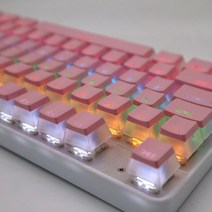104 키 PBT 푸딩 캡 게이트론 체리 MX 스위치 게임 기계식 키보드용 2 색 주입 OEM 프로필 DIY, 02. ABS Pink