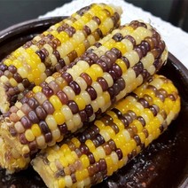 알록이 맛있게 삶은 냉동 찰옥수수, 1개
