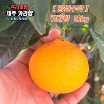 당일수확 고당도 제주 카라향 가정용 3kg 5kg 10kg 제주도귤, 선택2. 상품 10kg, 1개