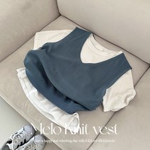 [새내기룩/레이어드] 봄부터 입기좋은 가성비 만능 레이어드 필수템 데일리 브이넥 니트 조끼 4color]멜로니조끼