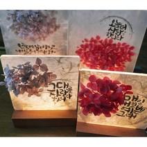 집콕놀이 DIY 한지공예 캘리그래피 플라워 꽃 조명 등 만들기 재료 키트 / 체험 활동, 대, 오늘에 감사하고 내일을 기대해