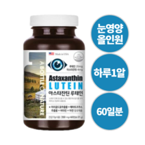 눈영양제올인원 천연루테인 아이 노안 어린이 비타민A E 아연 헤마토코쿠스 베타카로틴
