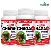뉴트리돔 캐나다산 20배농축 야생 차가버섯 Chaga 180mg 120캡슐 3병