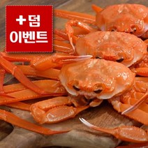 [+덤 이벤트] *박달급* 상급 후포리 홍게 수율보장 85%이상 3kg 5kg 당일자숙, 5kg 13마리 + [이벤트 2마리추가]