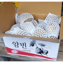 히카마(얌빈) 히카마즙 상급 5kg 10kg 멕시코감자, 히카마(10kg)