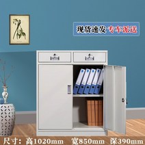 시약장 파일 캐비닛 틴 롤 캐비닛 파일 데이터 캐비닛 회사 재정 바우처 캐비닛 직원 보관 사물함 작업장 신발 캐비닛, 0.7mm, 2단 서랍 하단 수납장(회색 흰색)