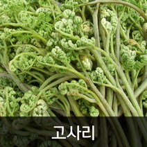 약수농장 생고사리 4kg, 1박스