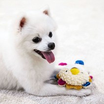 [에이치플러스몰] 강아지 장난감 인형 터그 애견용품 삑삑이 바스락, 색상:사자+별똥별(랜덤)