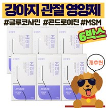 강아지 관절 영양제 강아지 관절 슬개골 애견 관절 영양제 애견 슬개골 관절건강 강아지영양제관절 반려견 관절영양제 애견 뉴트리션 트릿 사료 금강불개, 뼈/관절강화, 6개