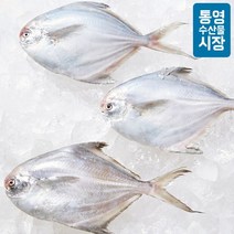 [KT알파쇼핑][통영수산물시장] 자연산 병어(급냉) 3~5미 / 400g내외