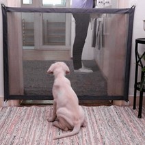 반려동물반려동물 안전망 메쉬형(118x80cm)(블랙)/안전문고양이 강아지 애완동물 반려동물