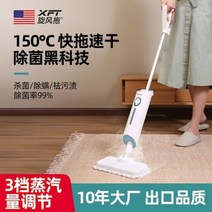 스팀청소기 가정용 고온 스팀 바닥 지우개 기계 세탁기 소파 클리너 깨끗한 청소기 휴대용 핸드 매트 카펫, 01 A_04 AU_01 220V