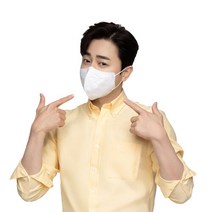 브랜드없음 에어데이즈 슬림핏 KF94 마스크 100매 선택형, 소형 100매