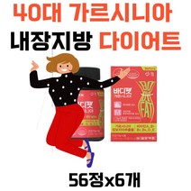 40대 가르시니아 캄보지아추출물 내장지방 복부피하지방 나잇살 뱃살 다리붓기빼기 건강기능식품 보이차 와일드망고종자 레몬밤 히알루론산 30대 50대60대