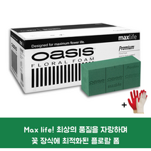 오아시스 프리미엄 플로랄폼 1박스 20개입 작업장갑 꽃꽃이 재료 용품 자재스토어 +전용장갑셋트, 2박스+장갑셋트