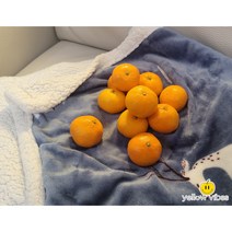 제주도 귤 택배 5kg 3kg 1kg 옐로우바이브 타이벡 감귤 서귀포 고당도 조생 귤, 고당도 타이벡감귤5kg