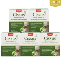 뉴질랜드 파이오라 시서스 알약 시저스 3개월분 CISSUS 시서스추출물 1000mg, 450정 (5박스)