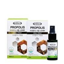 기타 [AK PLAZA]마더네스트 프로폴리스 오랄 스프레이30ml 2개입세트