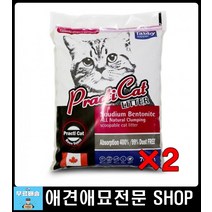 고양이용품쇼핑몰 아깽이전용모래 아기고양이배변훈련 고양이배변처리 고양이준비물 캣배변모래 캣화장실