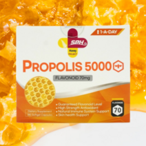 사은품+SPH 프로폴리스 5000mg 플라보노이드 70mg 180캡슐 원어데이 뉴질랜드, 180캡슐 1개