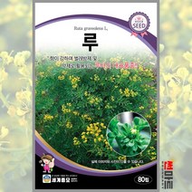 루 80립 / 다년생 허브씨앗 씨앗 화단 정원 꽃밭