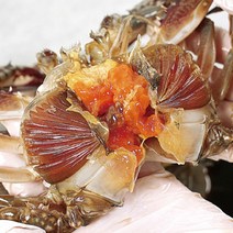 [진짜알배기꽃게] 국내산 연평도 암 꽃게 게장 알배기 간장게장 국산 꽃게장 세트, a.간장게장 2200g