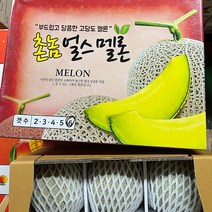 MELON 고당도 메론 국내산 얼스멜론/머스크멜론/ 프리미엄 멜론 1kg내외, 1박스(6~7kg)