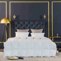 [소프라움] 에스테르 헝가리80 80수 구스다운 사계절 이불솜 싱글 (576g), 화이트/싱글(MDS22FS05D11WHS)