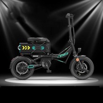 2인승전기자전거 초장거리 전기 자전거 14 인치 접이식 도시 전력 400W 미드 모터 48V 40Ah 초대용량 리, 01 Black, 한개옵션1