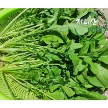 국산 루꼴라 1kg, 로켓트루꼴라1봉, 500g