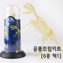 공룡뼈 화석 모형 조립 피규어 장식품 실험 실습 방과후 맞추기 돌봄 창의 교재, 티라노사우루스