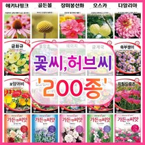 꽃씨 200종 꽃씨앗 꽃씨몰 다년생 월동 꽃 씨앗 세트 야생화 종자 / 코스모스 국화 제라늄 구절초 겹접시꽃 버들마편초 금어초 양귀비씨앗 메리골드 스토크 금어초 네모필라 꽃잔디, 62. 아이슬란드양귀비 100립