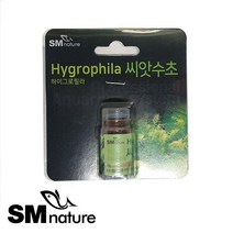 SM 씨앗수초 [하이그로필라] 1개입, 단품