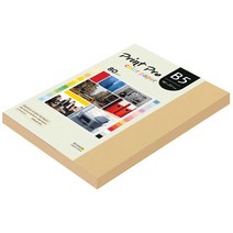 종이문화 프린트프로 칼라복사지 B5 80g No.04 버프 170매, 170개