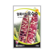 얼룩이찰옥수수 150립 옥수수씨앗 혼합 품종, 단품