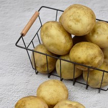 기찬꾸러미농산물 국내산 햇 감자 상(구이용) 1kg 3kg 5kg 10kg, 감자 상(구이용) 3kg