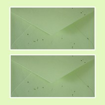 나모몰 한지봉투(10매입) 한지편지지(15매입) 일반/편지지 봉투, 1개, 봉투_21.양파