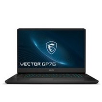 MSI 2022 VECTOR GP76 17.3, 블랙, MSI VECTOR GP76 12UH-i9, 코어i9, 1024GB, 16GB, Free DOS