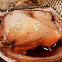 왕피꼬막 왕피조개 1kg 2kg 피조개 제철 피꼬막, 피조개3kg 중사이즈