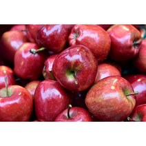 경북사과 부사 홍로 중과 꿀 가정용 프리미엄 로얄 5kg 10kg, (정품) 중과 (12-15과) 3kg, 1개