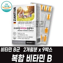 비타민B 컴플렉스 복합체 독일직수입 비오틴 비타민B1 비타민B2 B12 나이아신 엽산 판토텐산 biotin B군, 2개월분 9박스