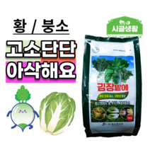 김장밭에 2kg 김장 채소 전용 밭 만들기 밑거름 기비 웃거름 추비 황소독 배추 무 비료 붕소 붕사 갓 뿌리혹병 가을배추 고소한배추 배추밭 무밭