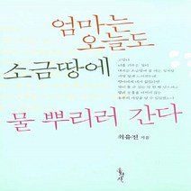 홍성사 새책-스테이책터 [엄마는 오늘도 소금땅에 물 뿌리러 간다] -믿음의 글들 336-홍성사-최유진 지음-기독교 문학-2016, 엄마는 오늘도 소금땅에 물 뿌리러 간다, NSB9788936503369