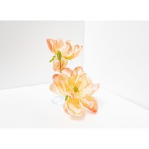 베타플라워 베타꽃침대 [아네모네 침대], 오렌지