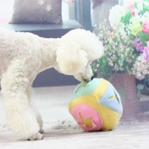 아트박스/에이치플러스몰 킁킁볼 토끼킁킁볼 노즈워크 간식볼 W86F4FC, ↔_토끼킁킁볼 민트