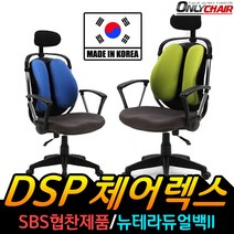 DSP 뉴테라듀얼백ii 의자 학생의자 책상의자 컴퓨터의자 사무용의자 사무실의자, 뉴테라듀얼백ii_블랙